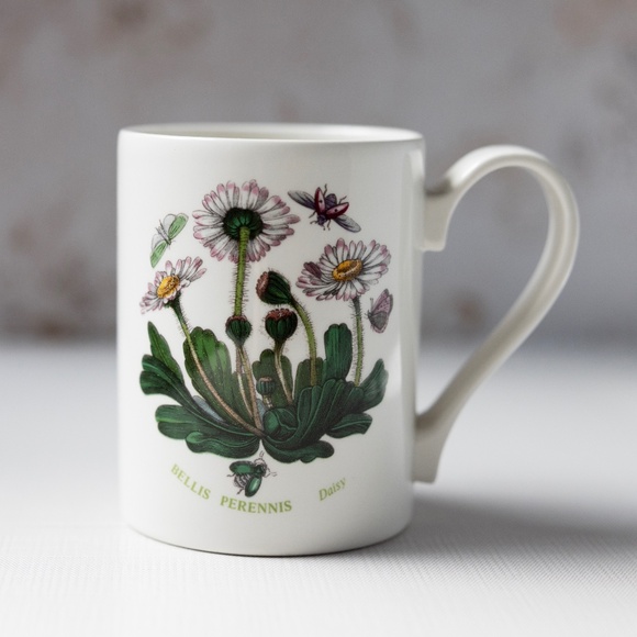 Portmeirion Botanic Garden Bellis Perennis Daisy mug 4" tall - Picture 1 of 5